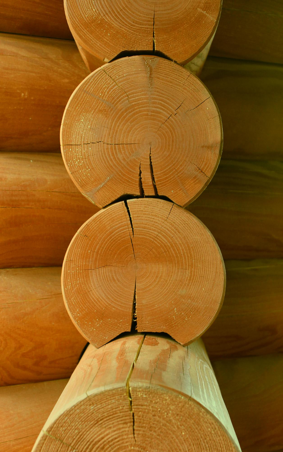 Angolo di chalet in tronchi con estremità dei ceppi visibili e venatura del legno.